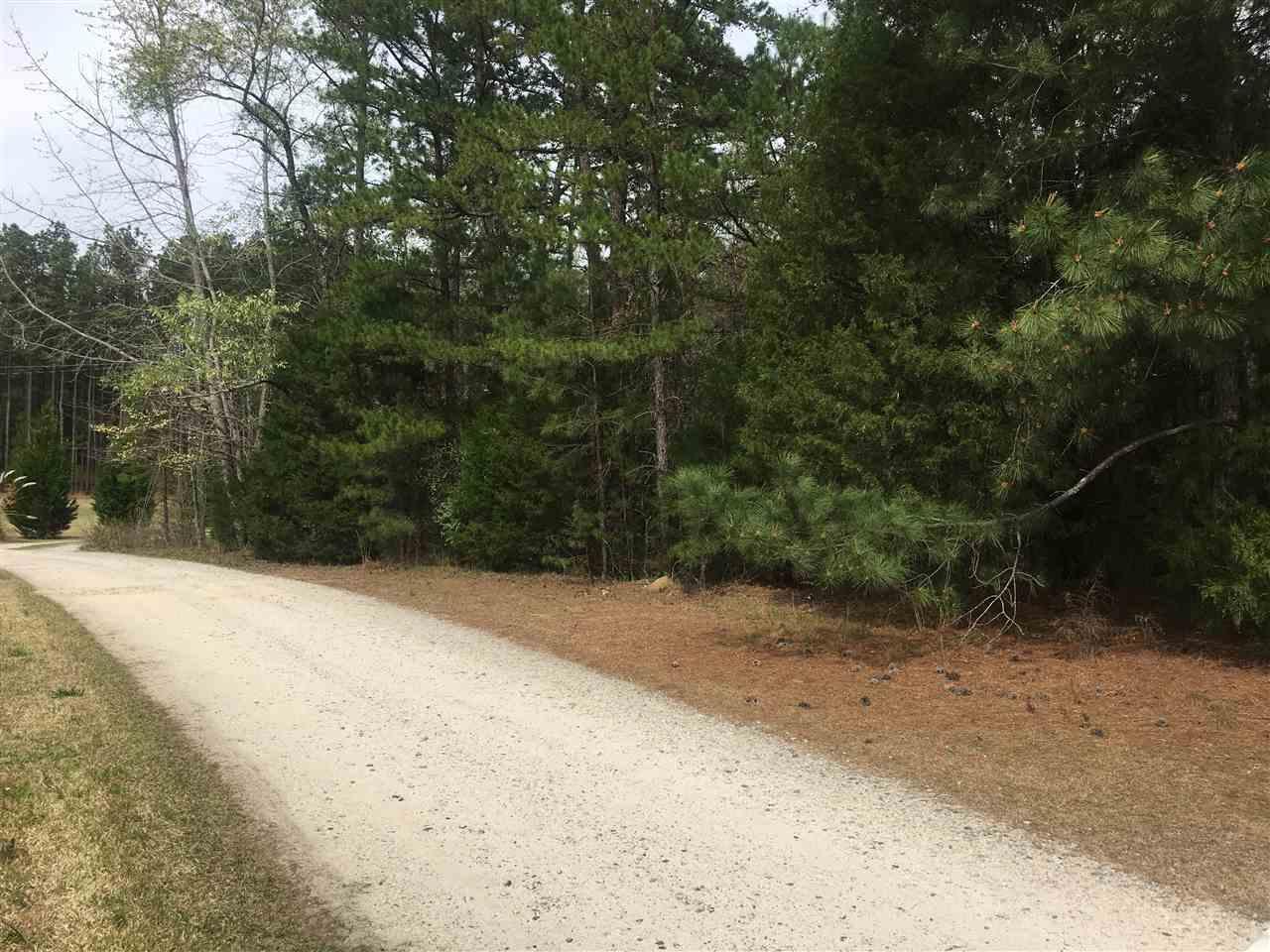 Lot 11 Jocie Ln - Photo 1