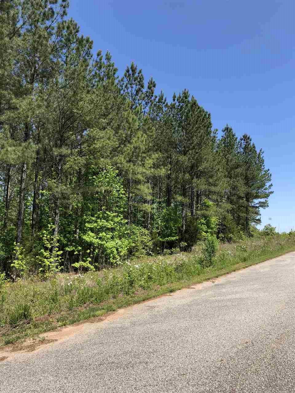 6.7 AC Spears Farm Road - Photo 1