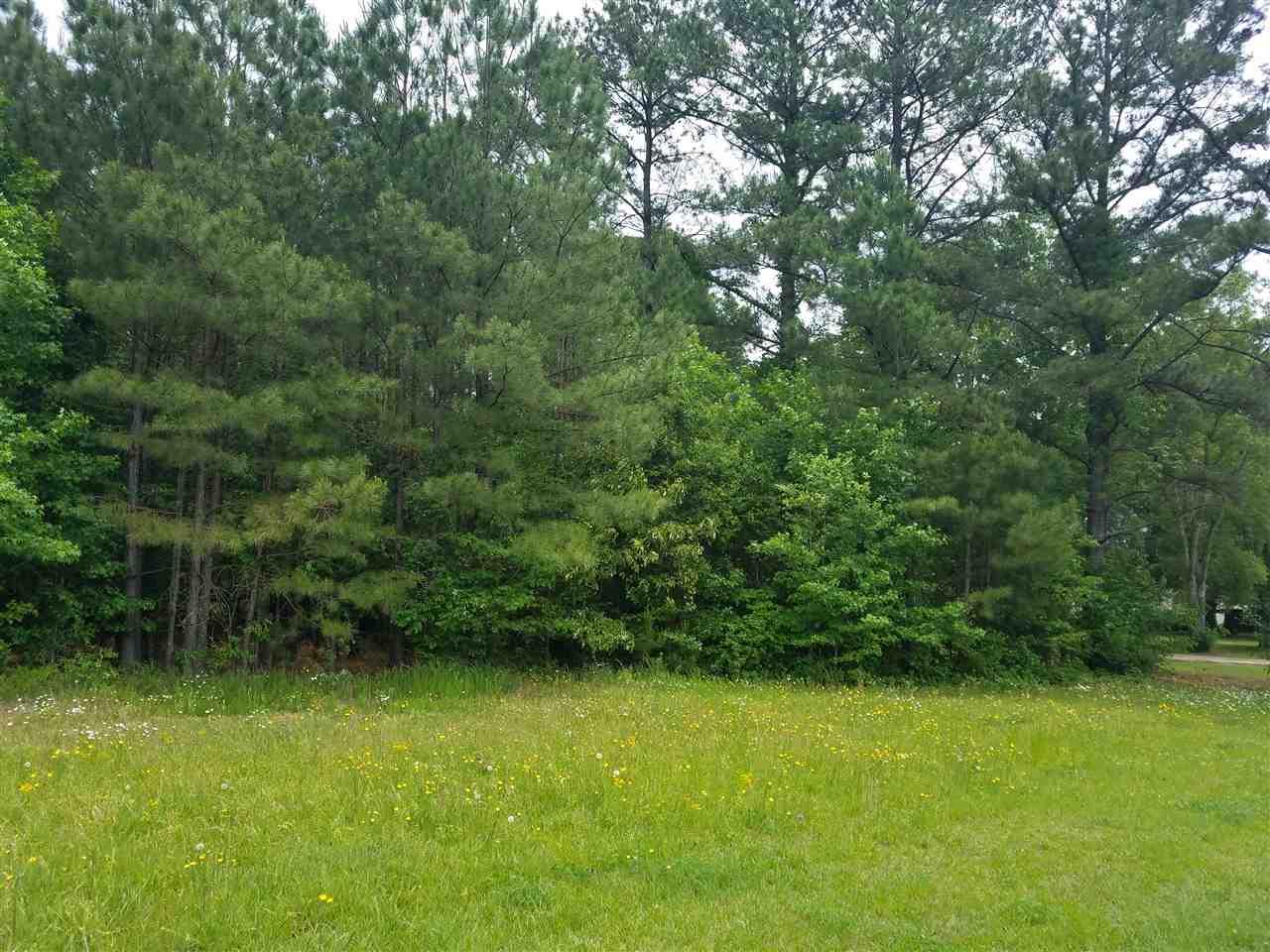 13.27 AC Cameron Road - Photo 1