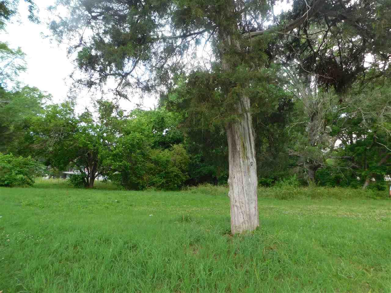 Lot 7 & 8 Henry Woods Drive - Photo 1