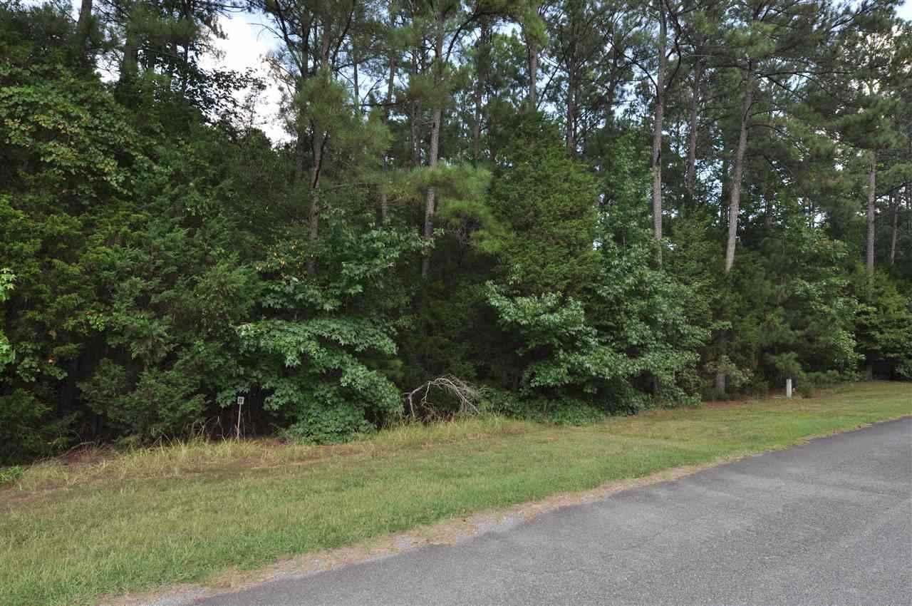 Lot 25 & 26 Cherry Hills - Photo 1