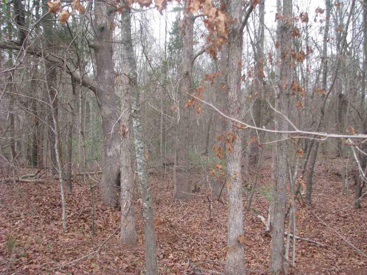 17 Ac Murdock Rd - Photo 1