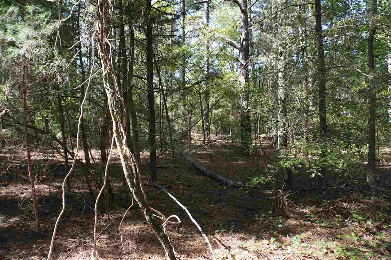 Lot 3 Will Jones Circle - Photo 1