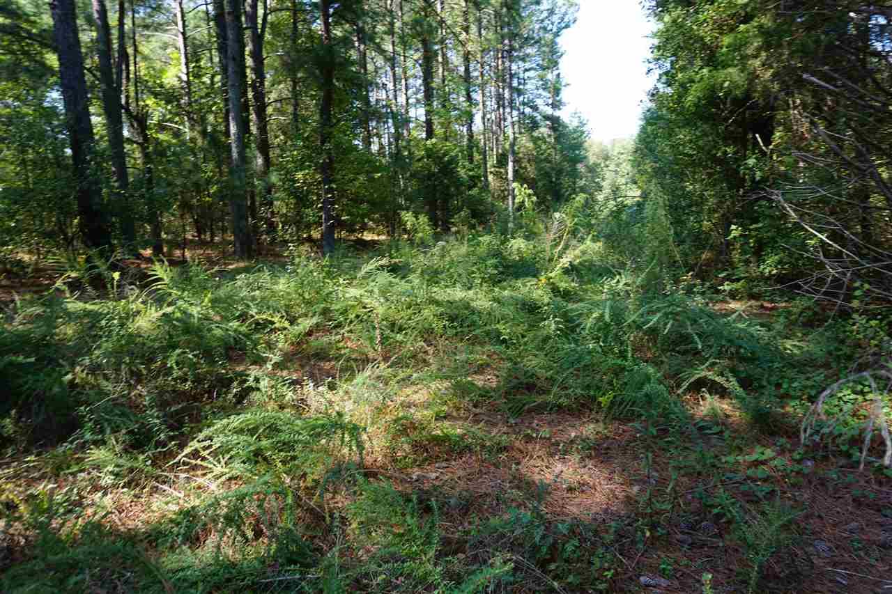 Lot 4 Will Jones Circle - Photo 1