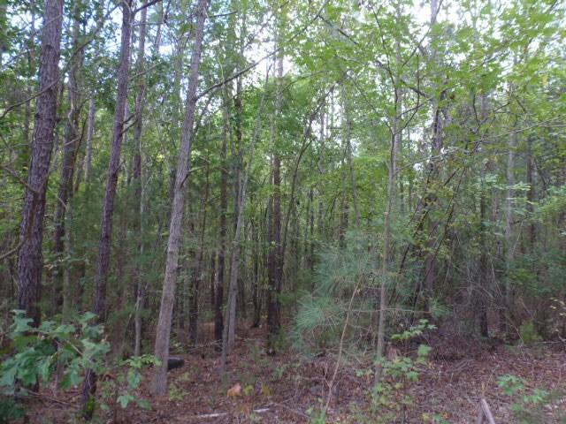 5.15 acs Off Hubbard Drive - Photo 1