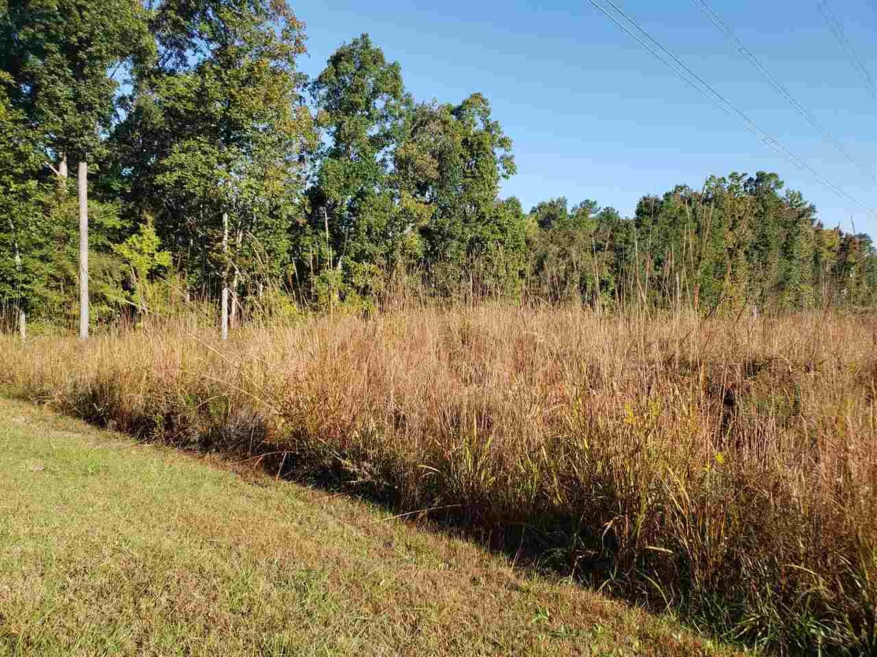 340 Catawba Crest Lane - Photo 1