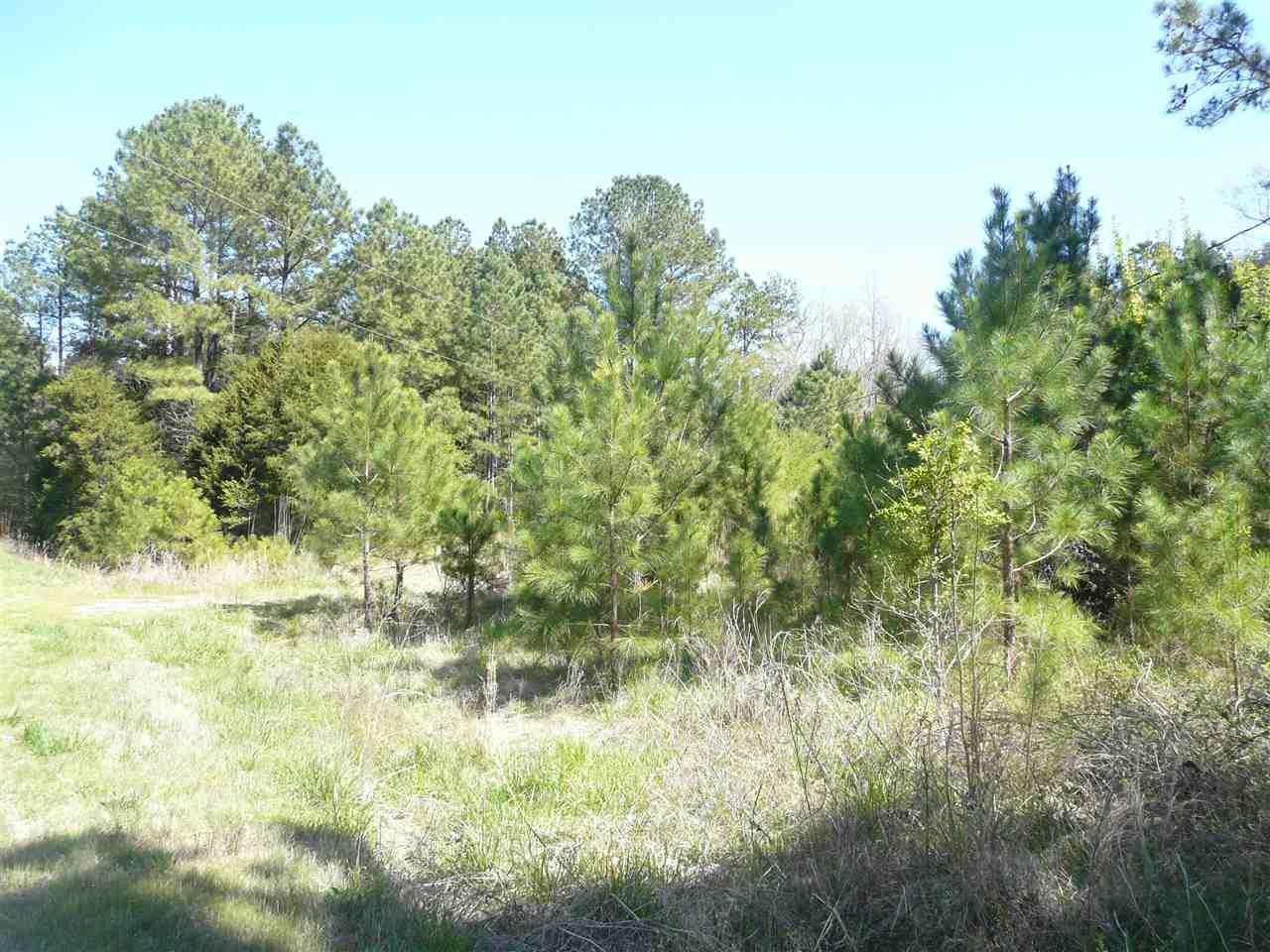 1318 Laidback Drive - Photo 1