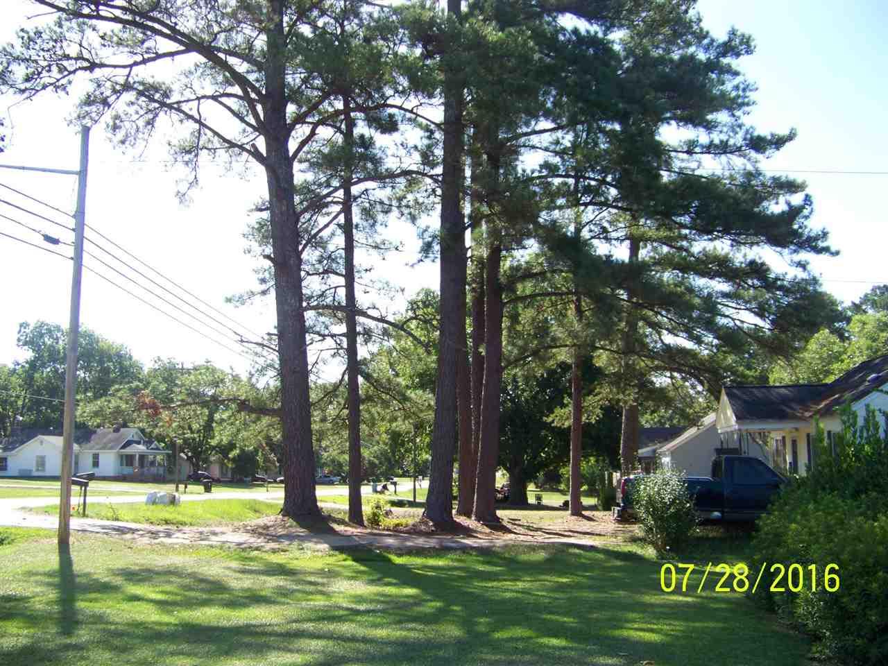 1603 Deer Branch Road - Photo 1