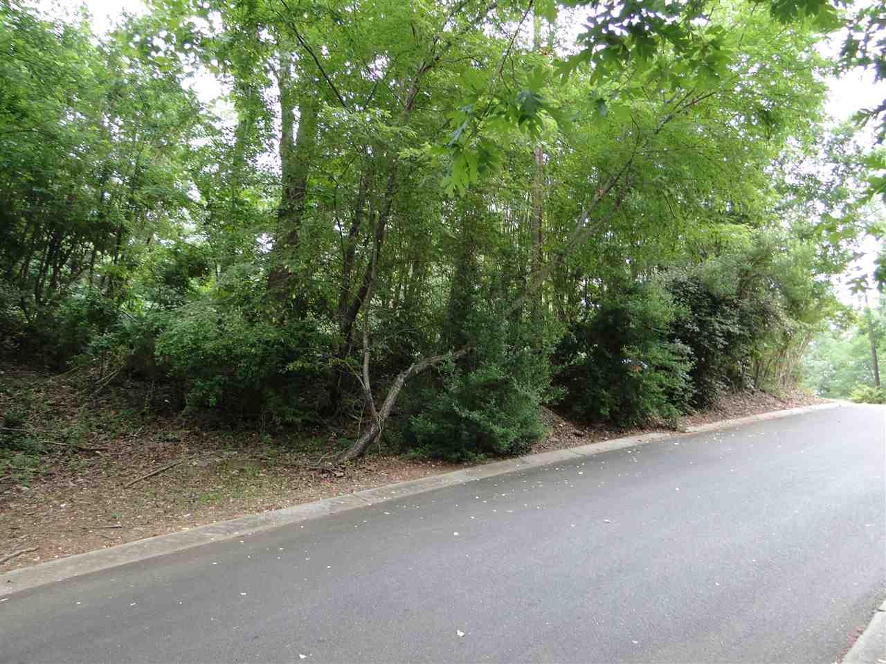 000 Tega Cay Drive - Photo 1