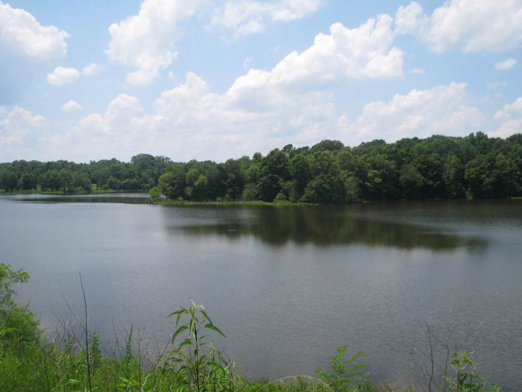 1089 Bobby Butler Rd - Photo 1