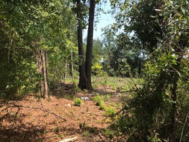 Lots #68 & 69 Hollow Rd - Photo 1