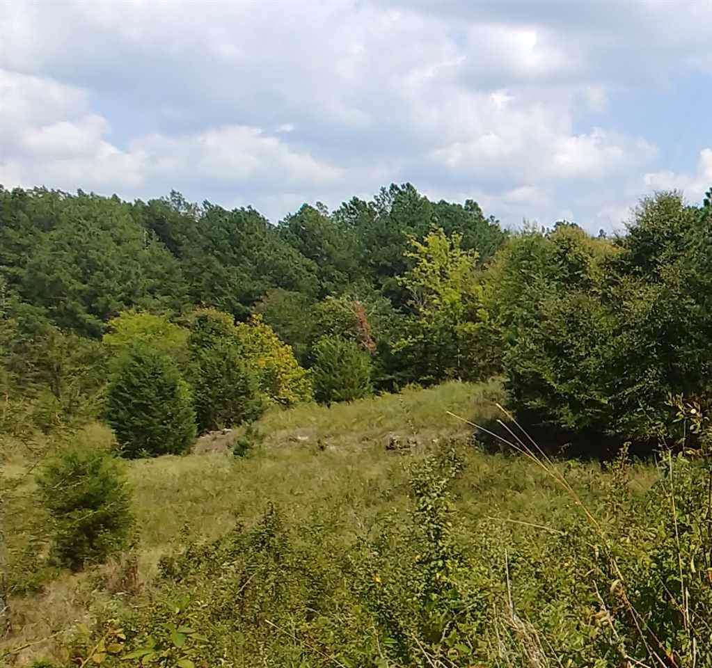 00 Stardust Ln (Gravel Pit) - Photo 1