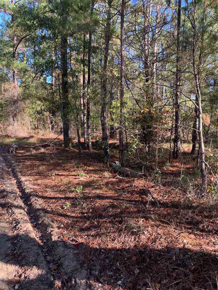 00 Mud Dauber Rd - Photo 1