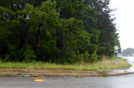 Great Falls Hwy - Photo 1