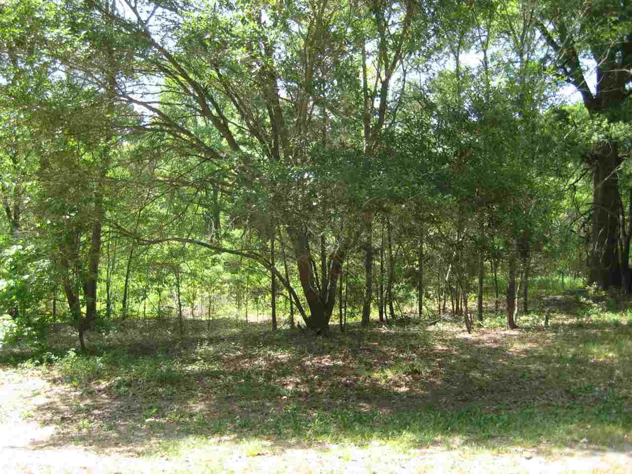 4446 Turkey Lane - Photo 1