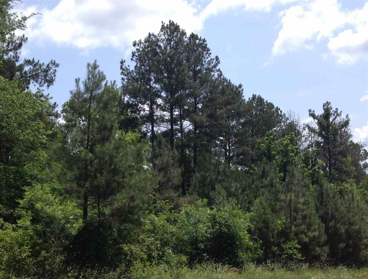4079 Persimmon Rd - Photo 1