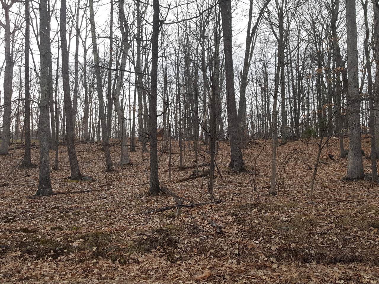193 Forest Ridge Dr - Photo 1