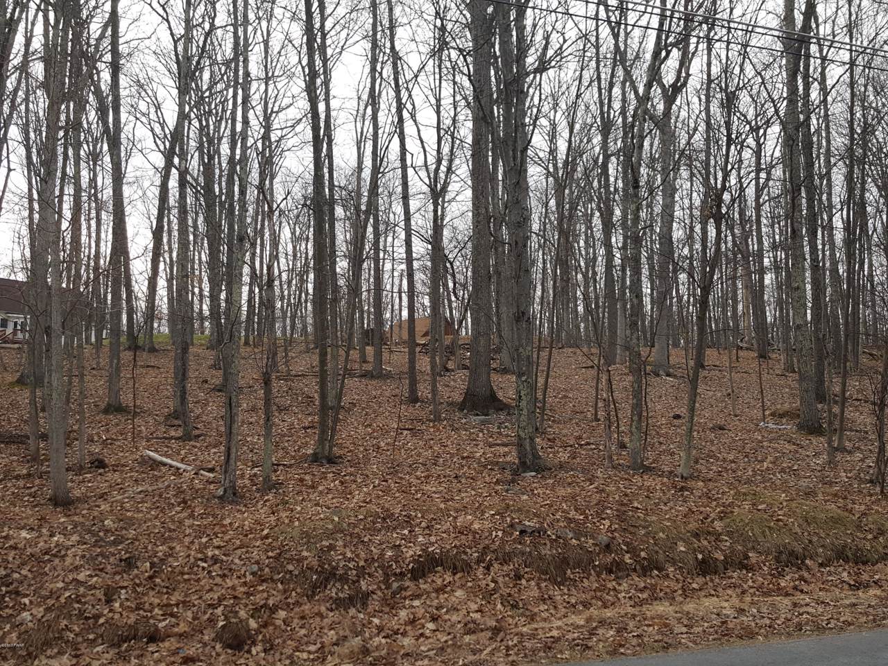 195 Forest Ridge Dr - Photo 1