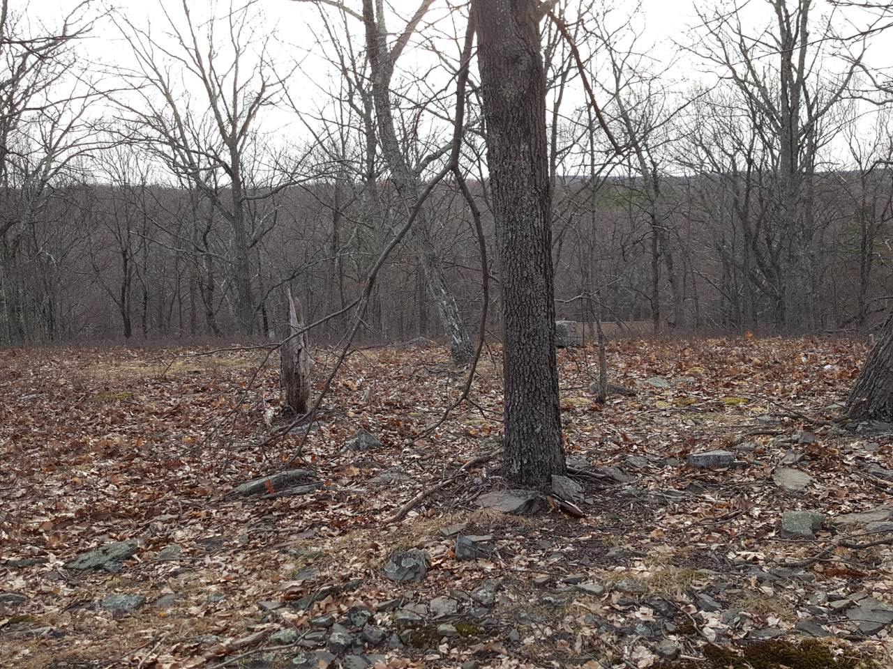 110 High Point Ct - Photo 1