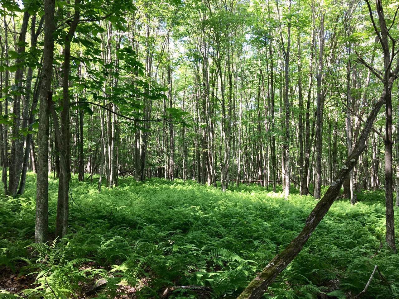 46 Deer Run Rd - Photo 1