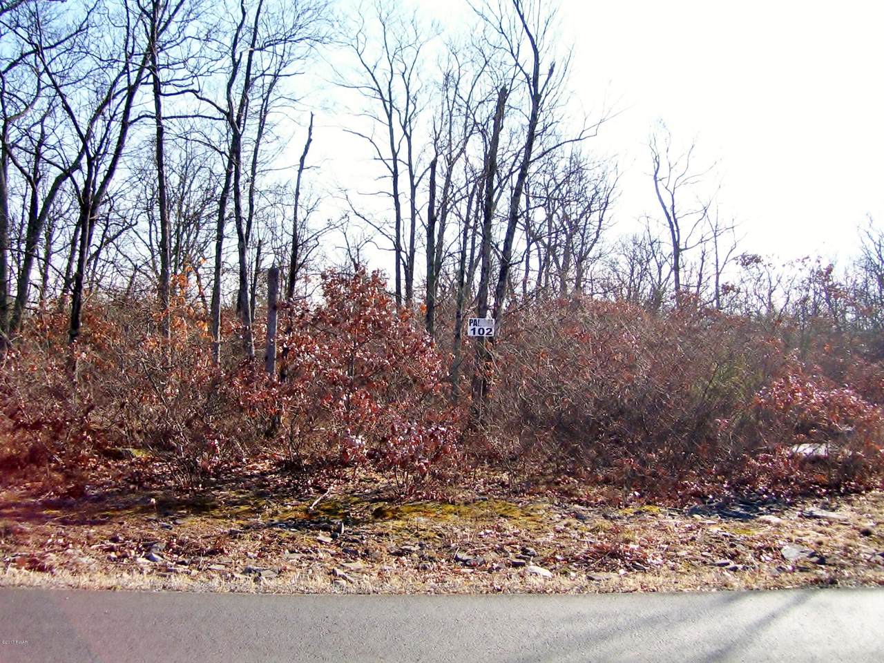 Lot 102 Blue Heron Way - Photo 1