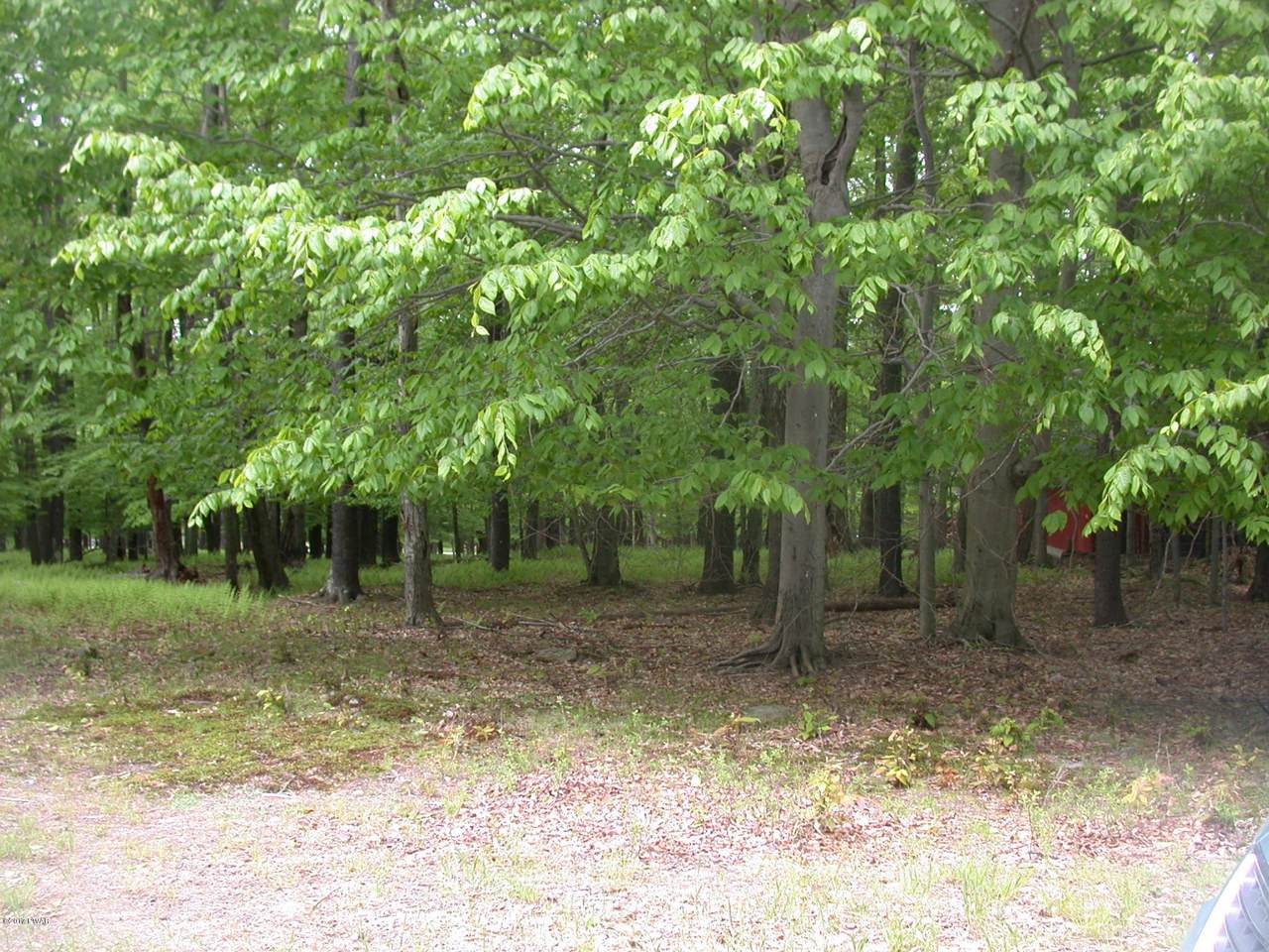2412 Freedom Pl - Photo 1