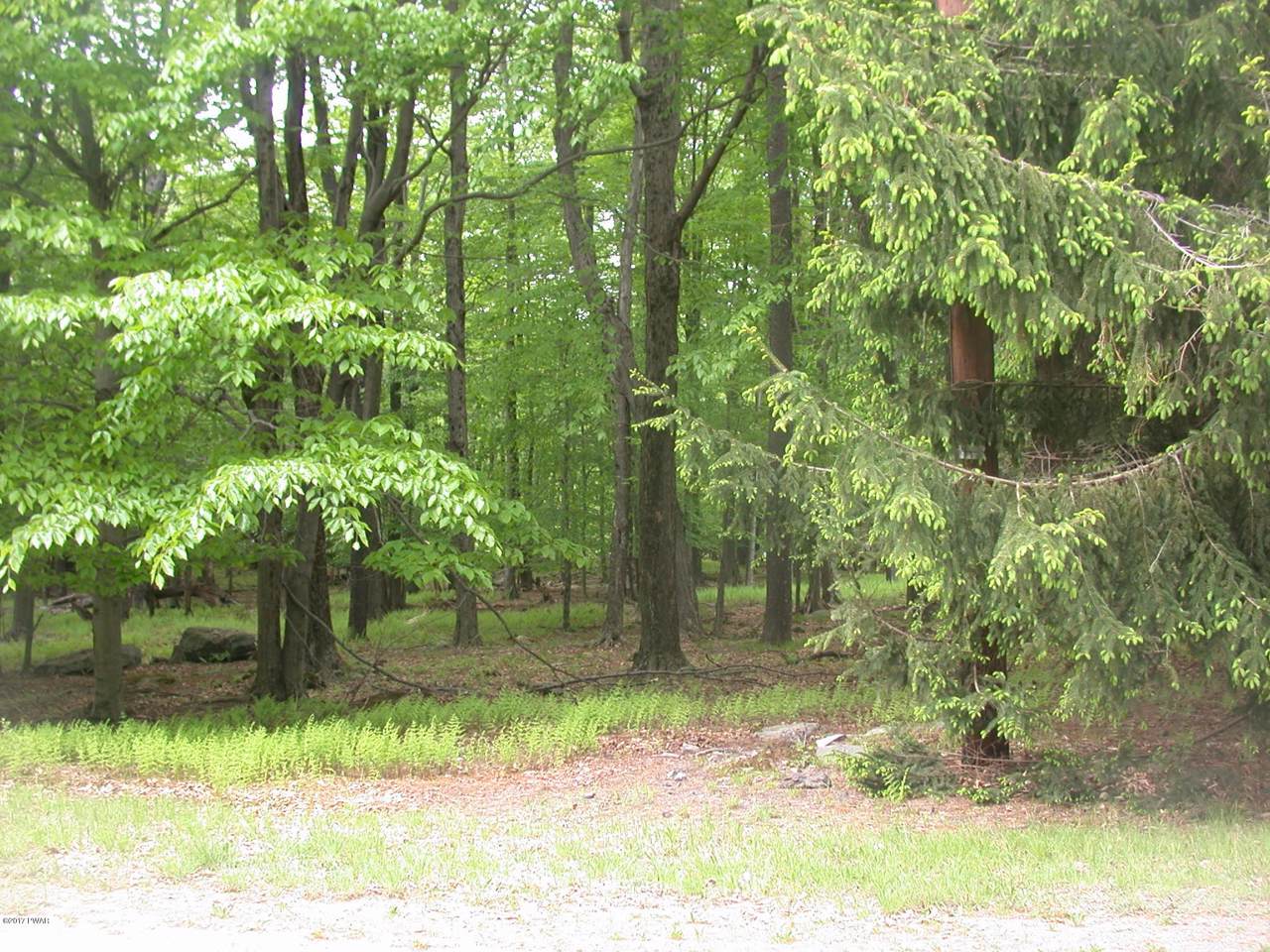 2414 Freedom Pl - Photo 1