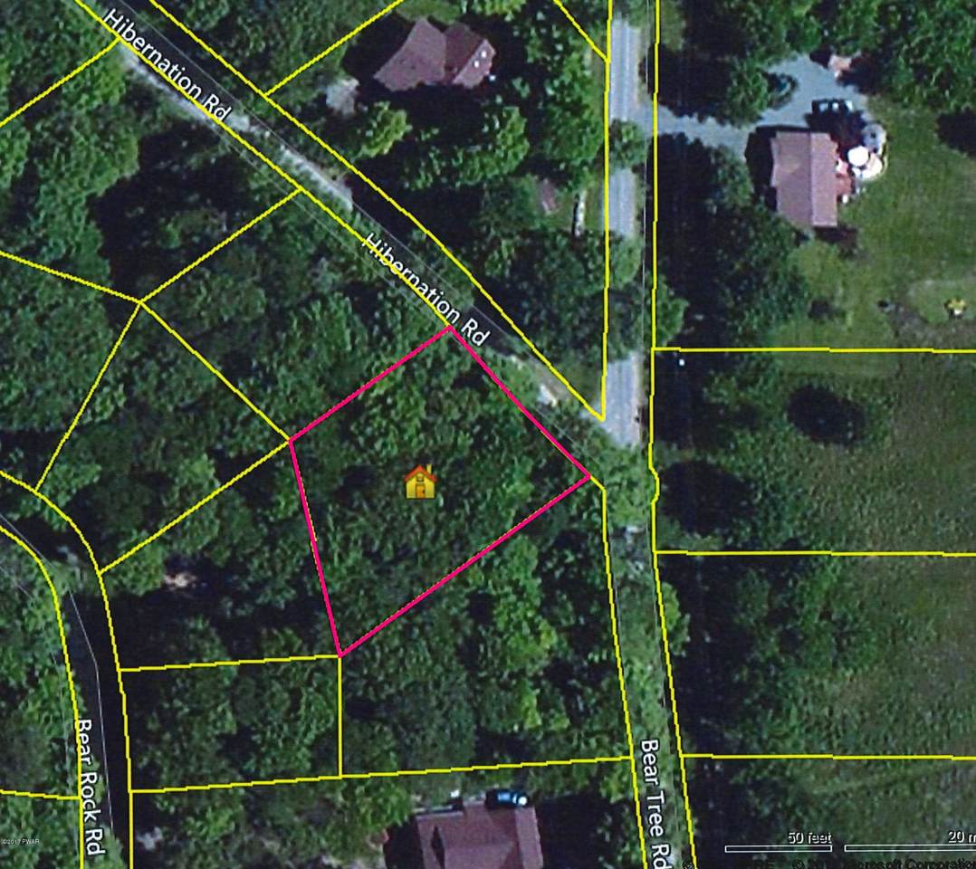 Lot 939 Hibernation Rd - Photo 1