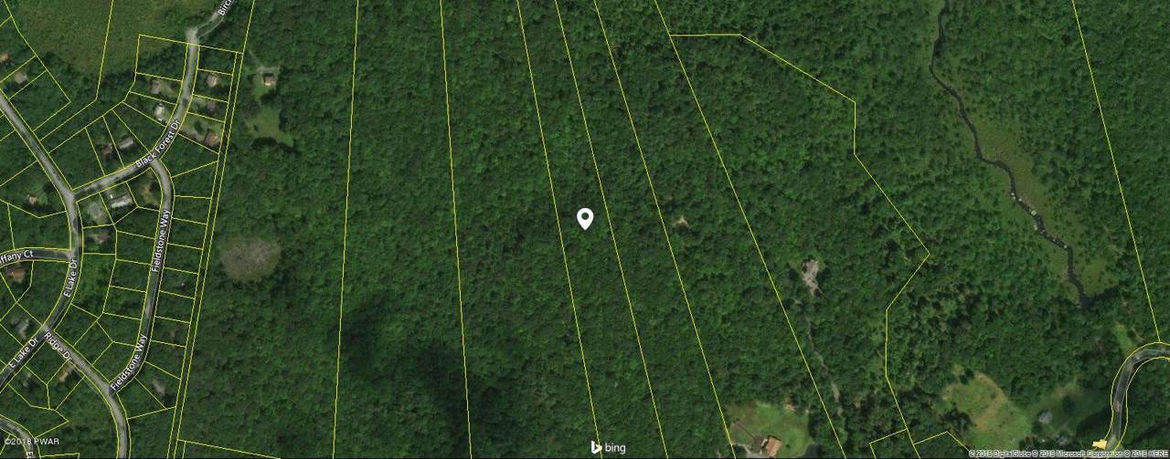 lot Nelson Rd - Photo 1