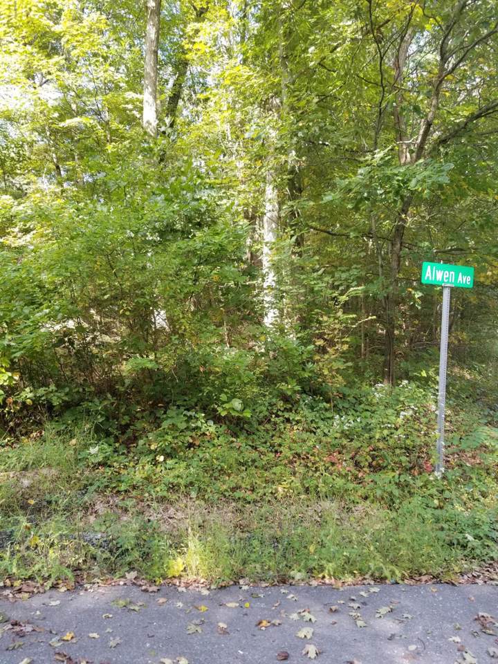 Lots 15 Fawn Rd - Photo 1