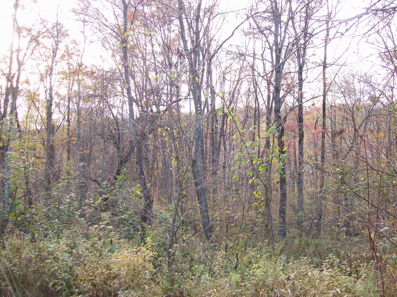Lot #4 Bunting Rd - Photo 1