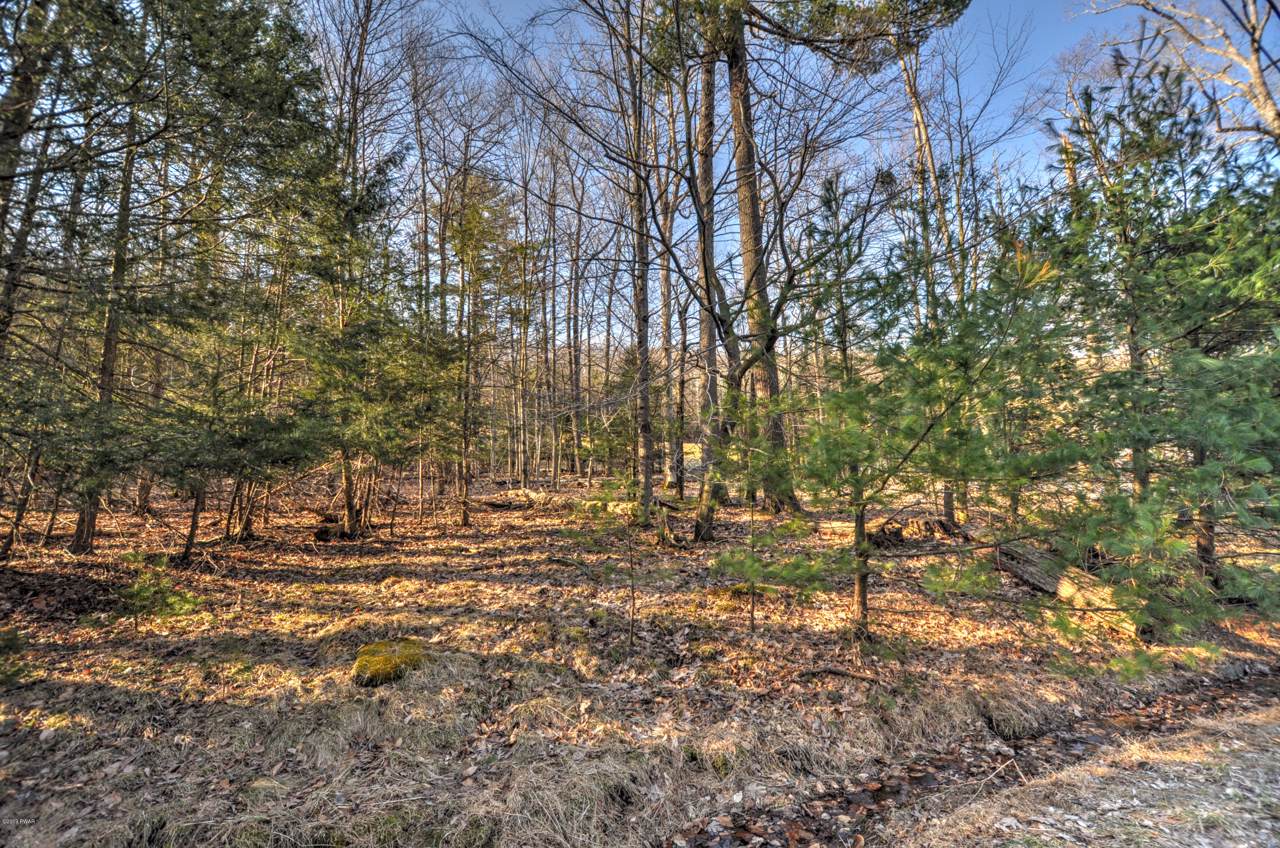 Lot 1050 Evergreen Dr - Photo 1