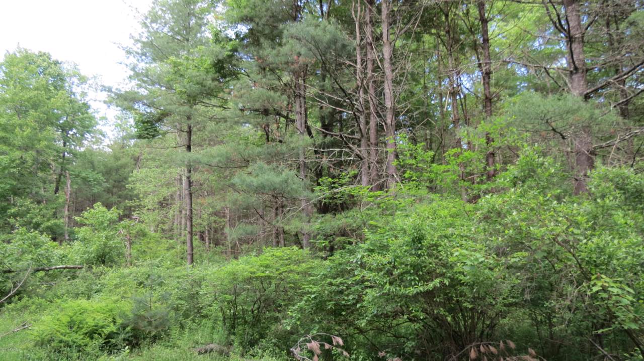 Lot # 15 Swamp Pond Rd - Photo 1