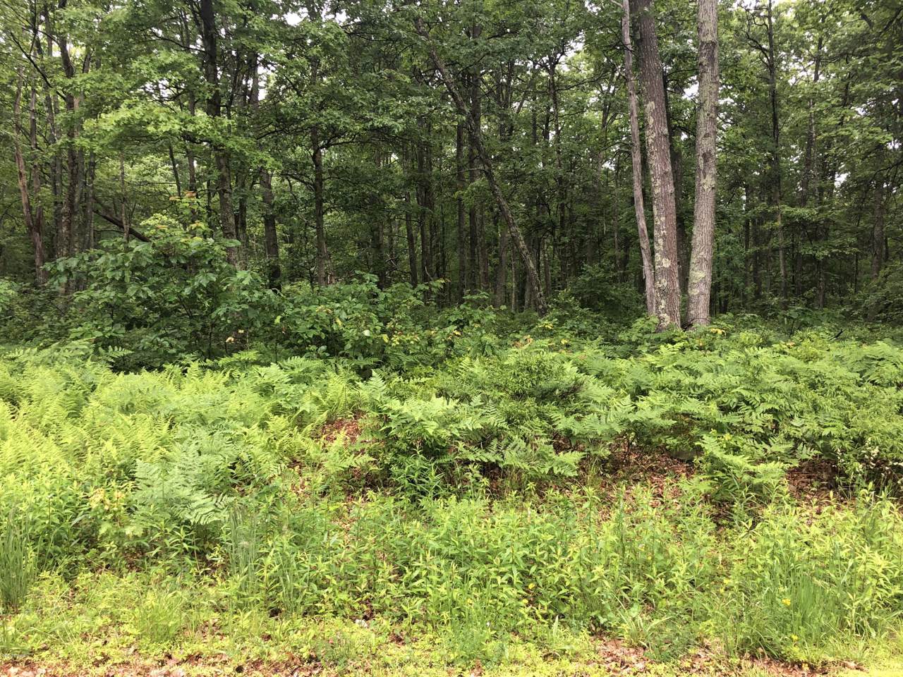 Lot 135 Wedgewood Dr - Photo 1