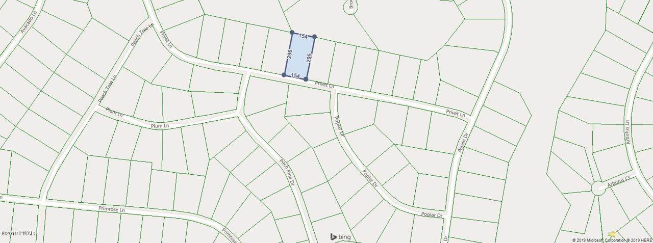 Lot 336 Privet Ln - Photo 1