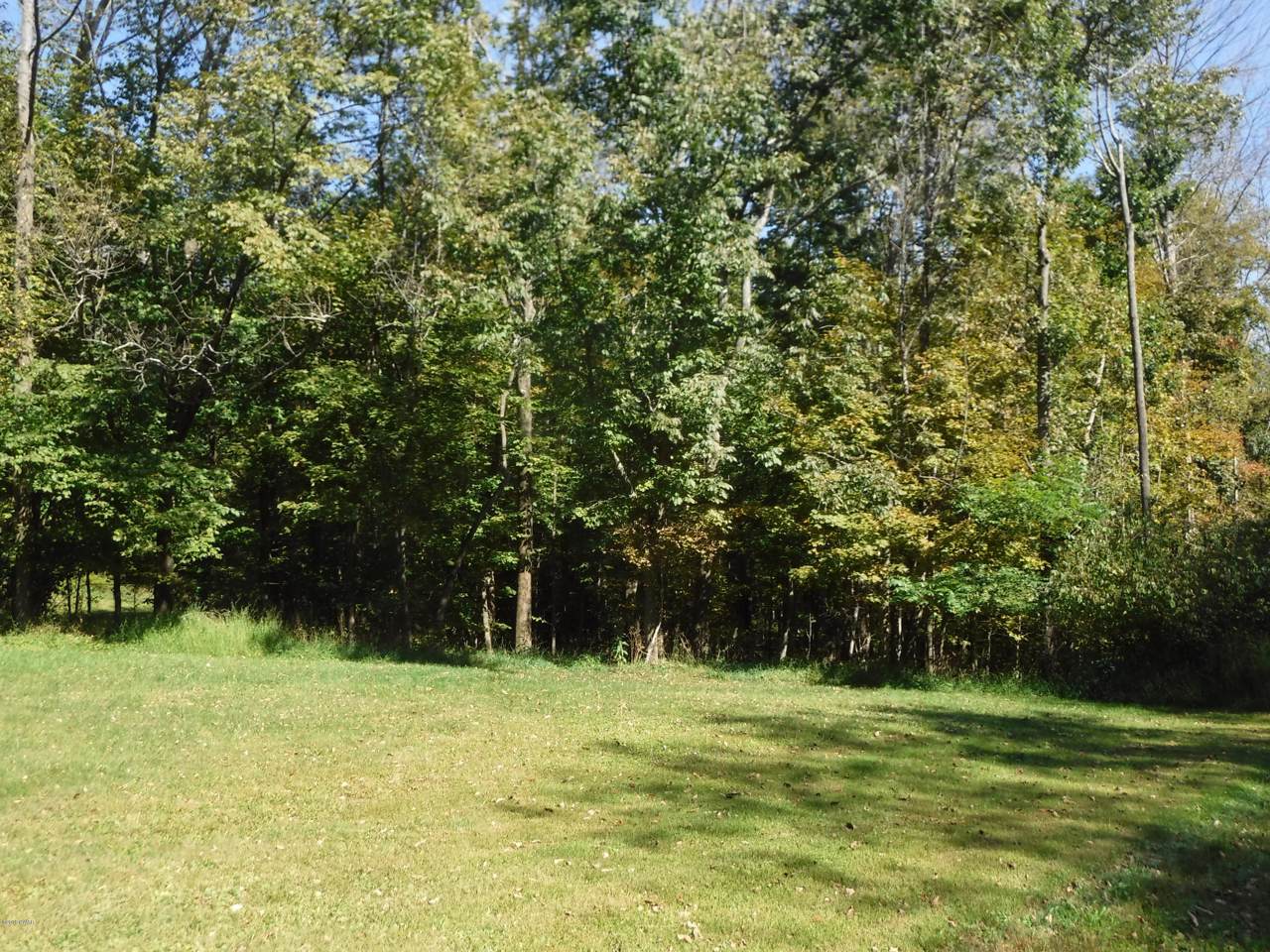396 Silkmans Rd - Photo 1