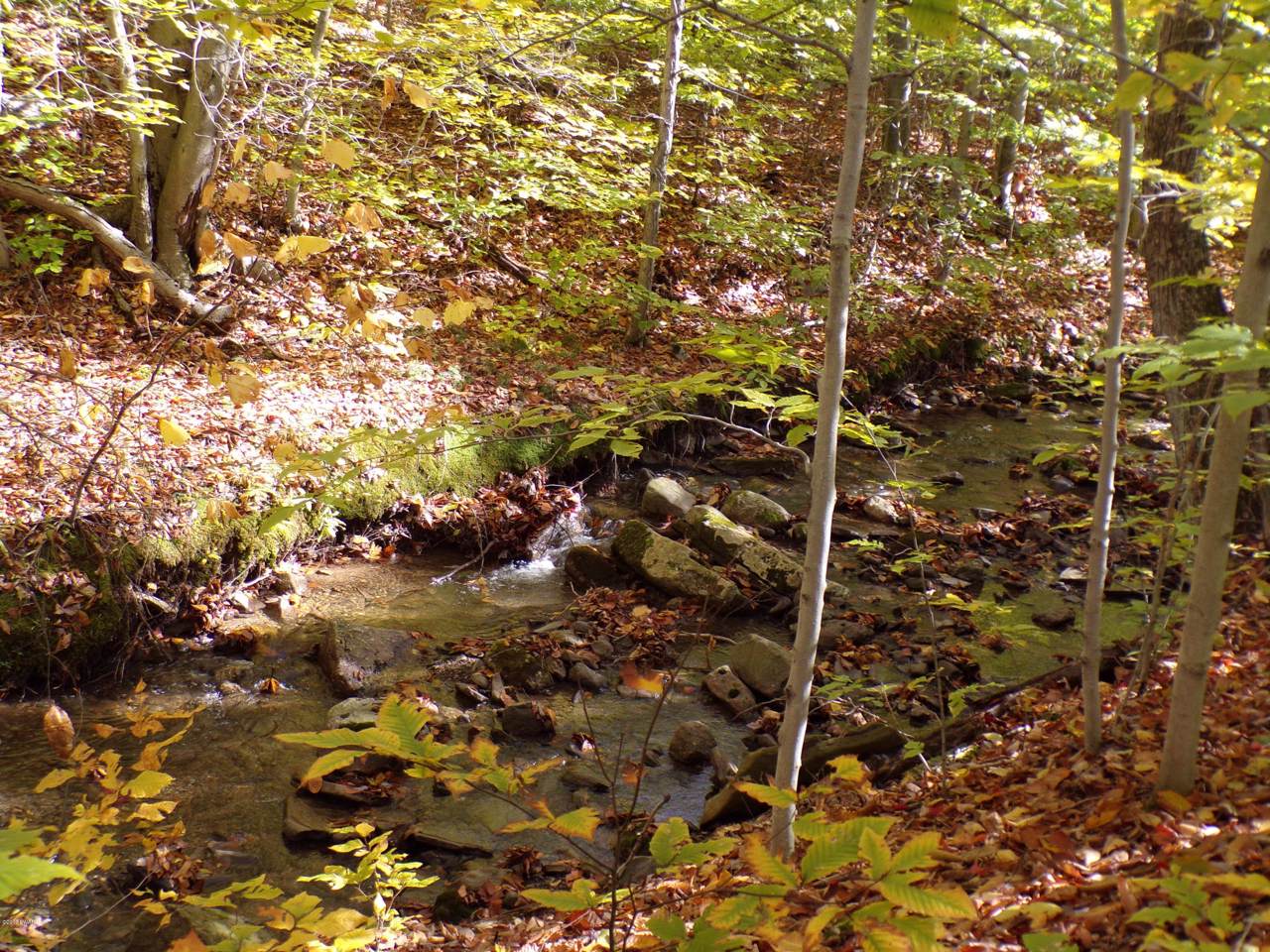 Flat Rock Rd - Photo 1