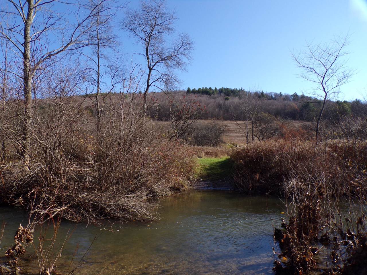 426 Big Hollow Rd - Photo 1