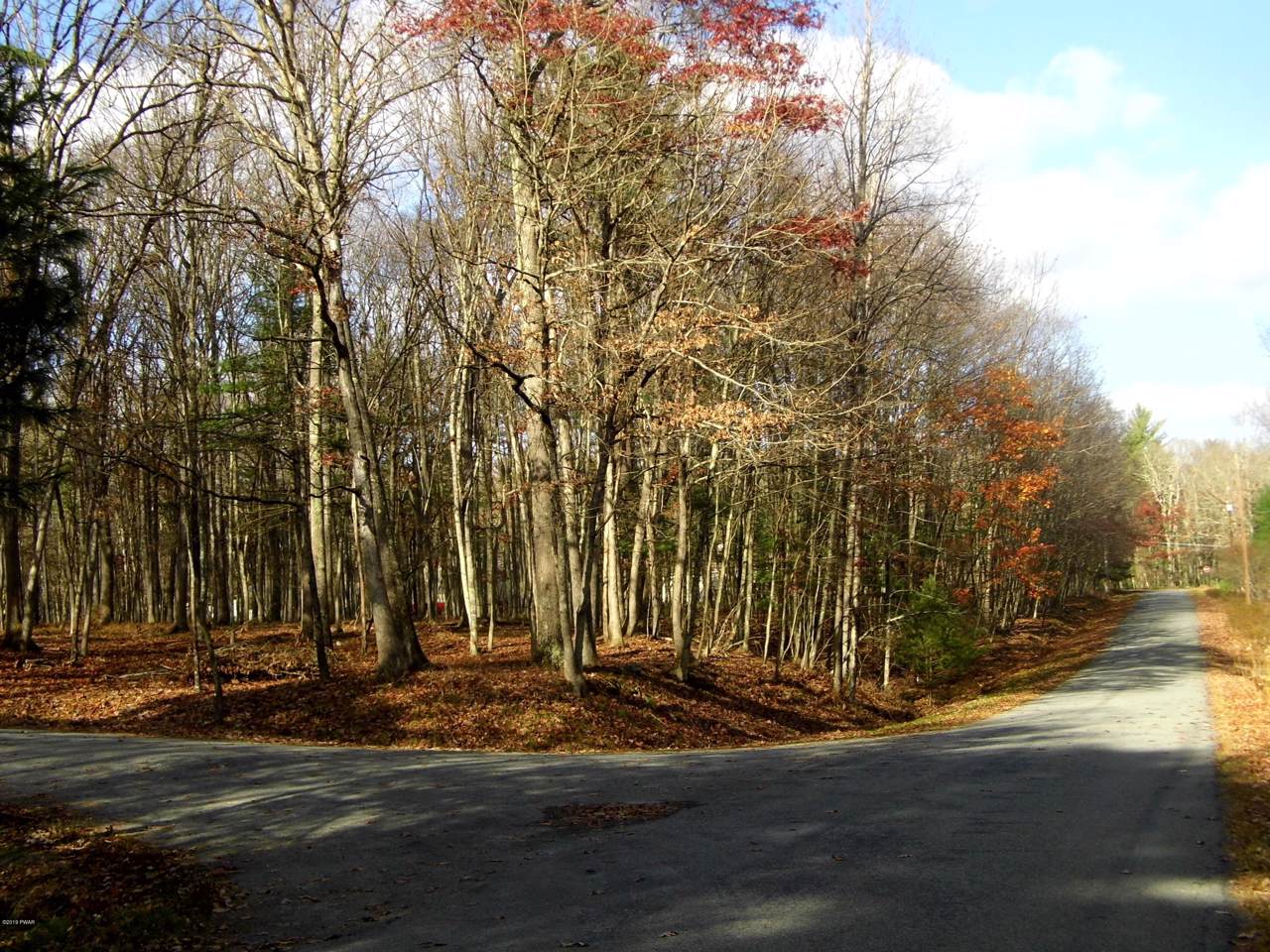 Blueberry Ln - Photo 1