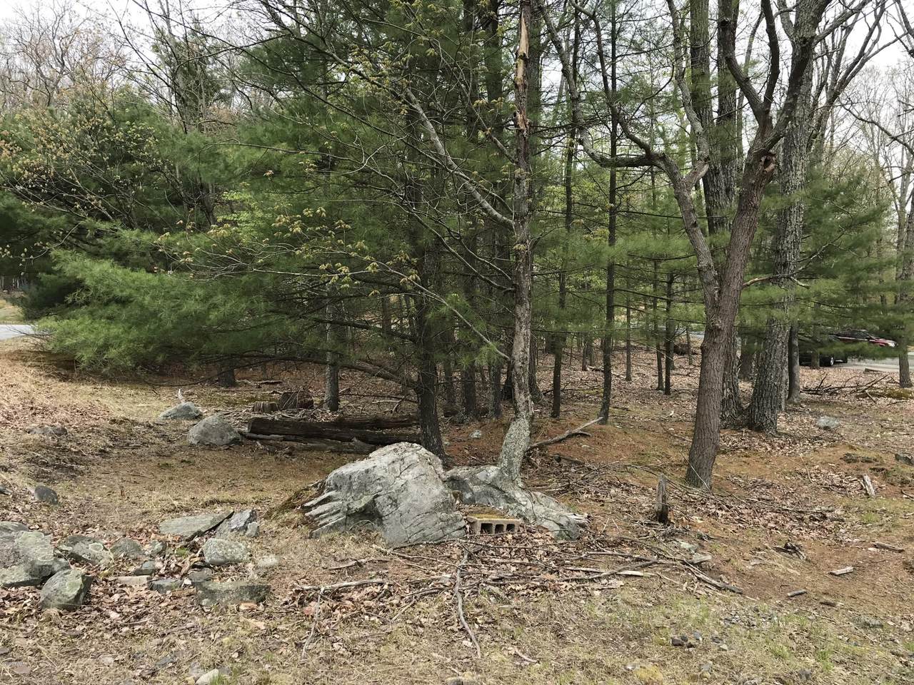 138 Forest View Dr - Photo 1