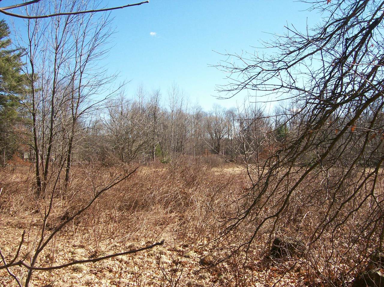 Miller Dr - Photo 1