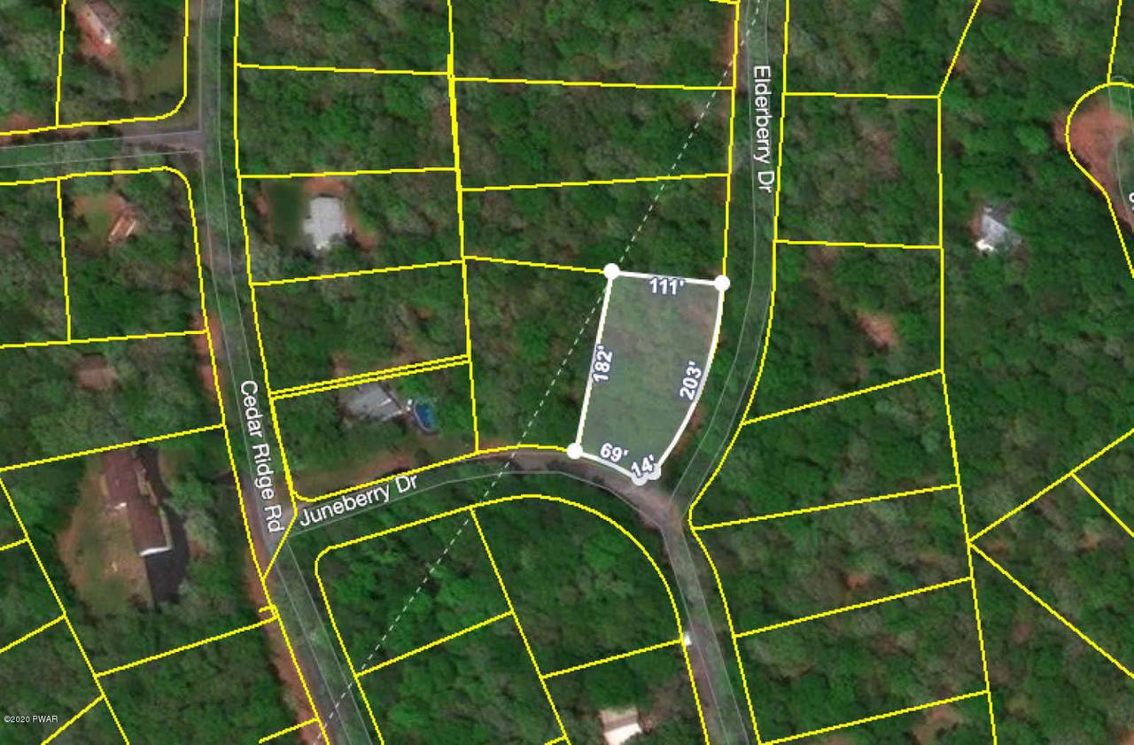 Juneberry & Elderberry Dr - Photo 1