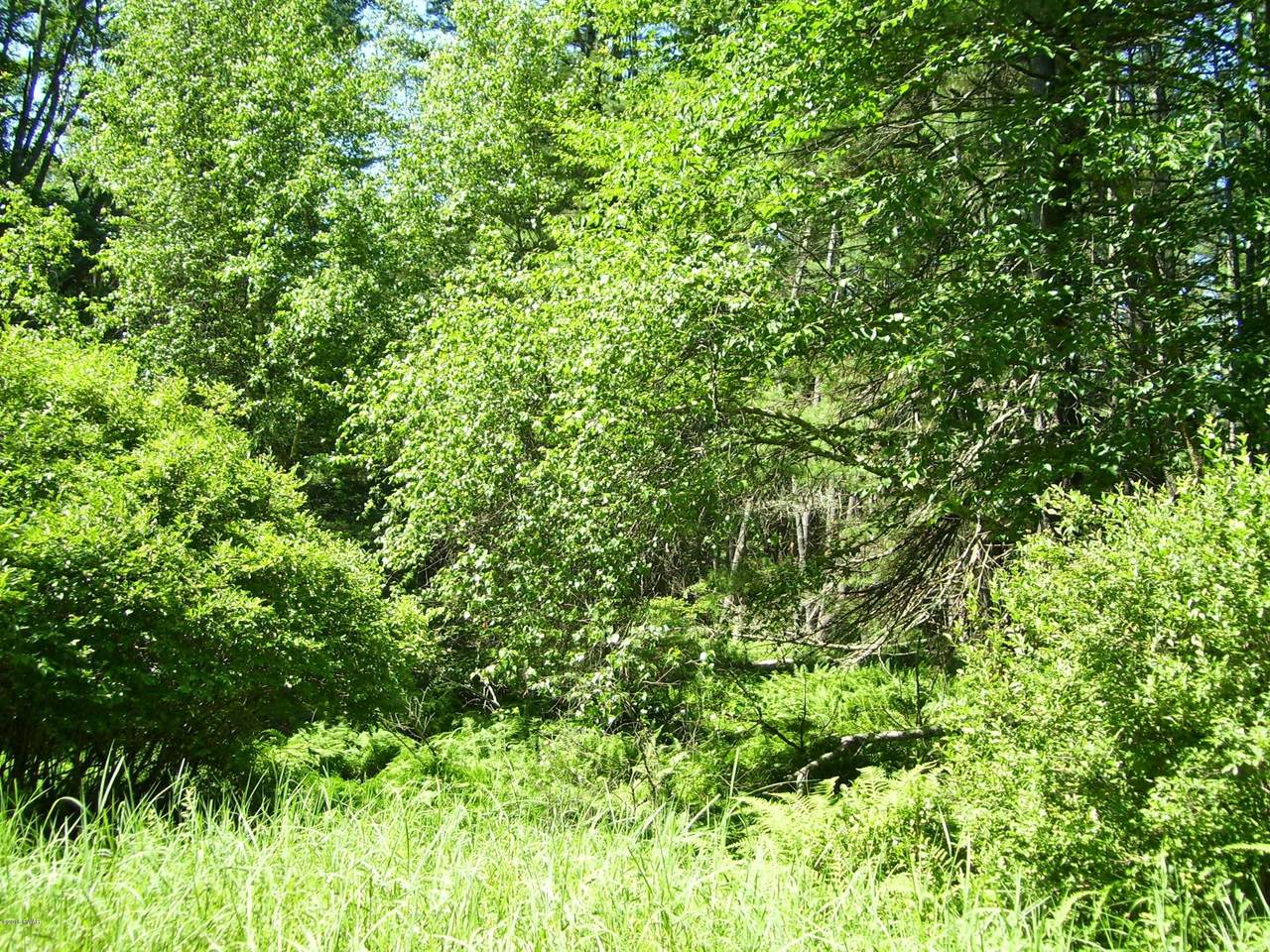 Lot #2 Rebels Rd - Photo 1