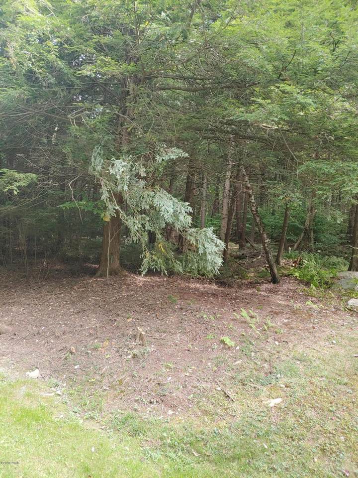 Sandspring Dr - Photo 1