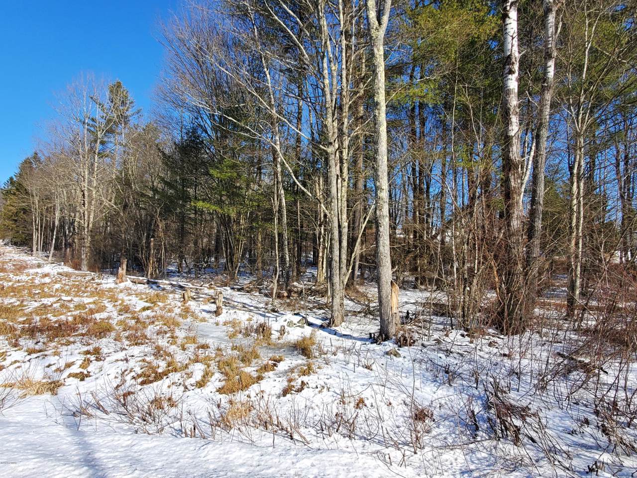 Plank Rd - Photo 1