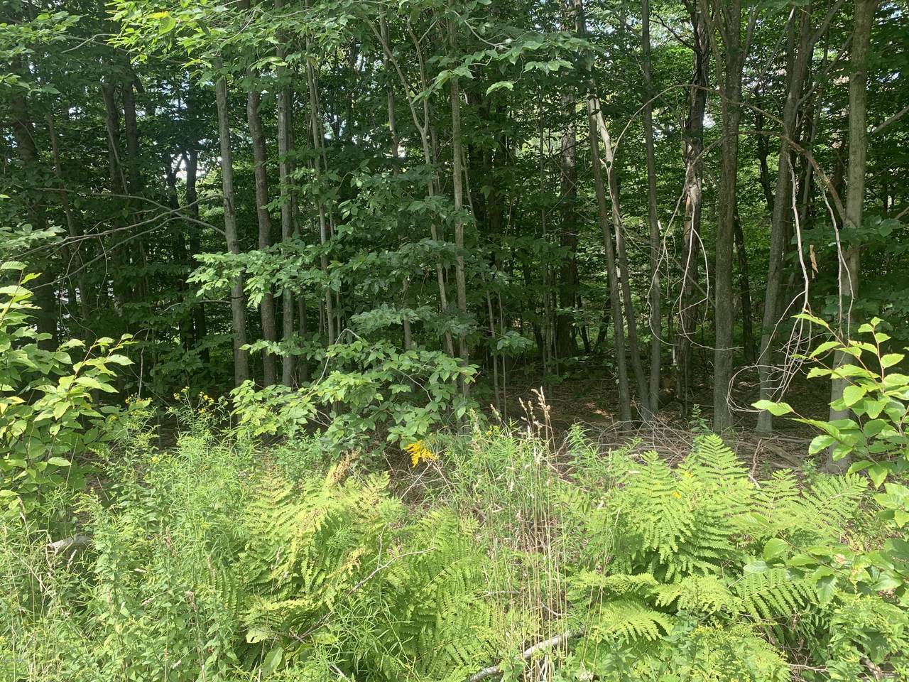 170 Ryans Rd 8 - Photo 1