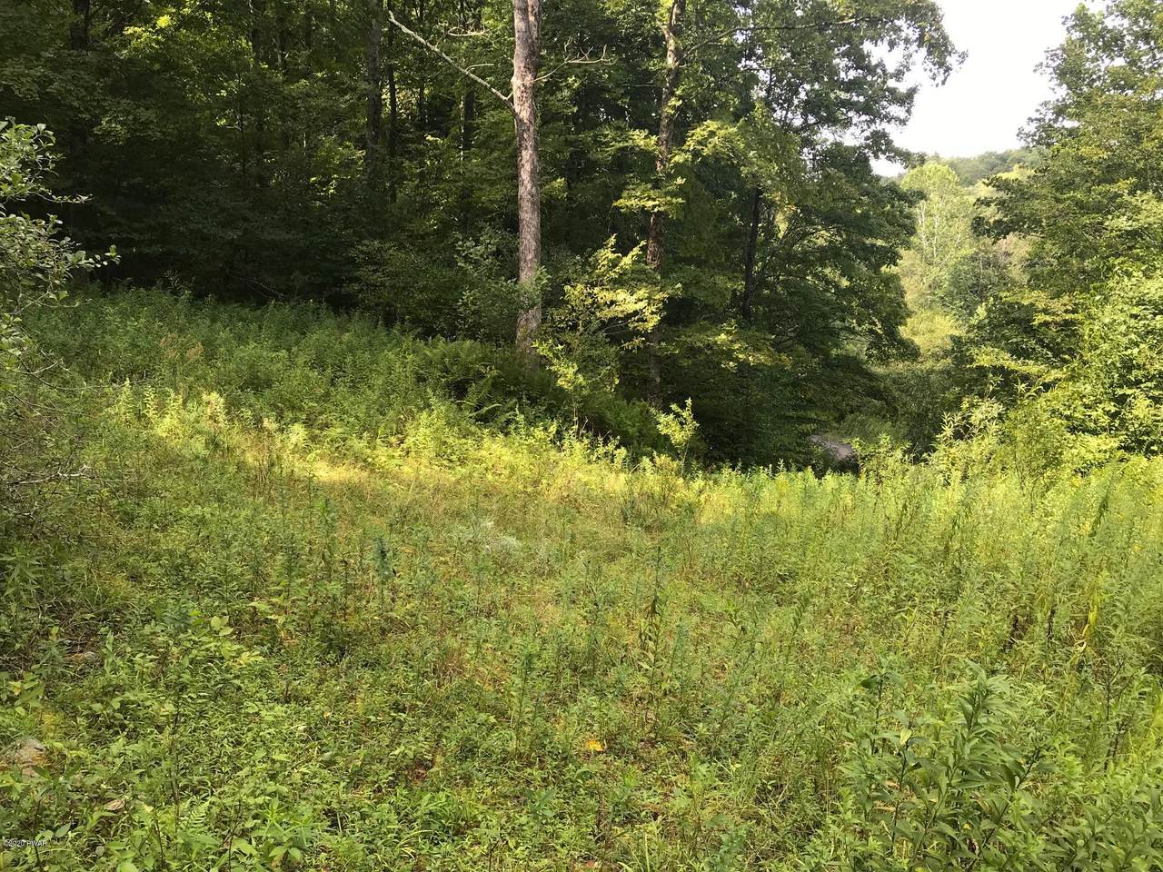 Equinunk Creek Rd - Photo 1