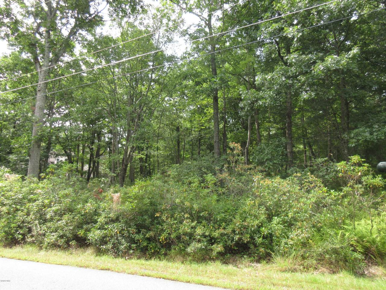 Lot 5733 Philwood Ln - Photo 1