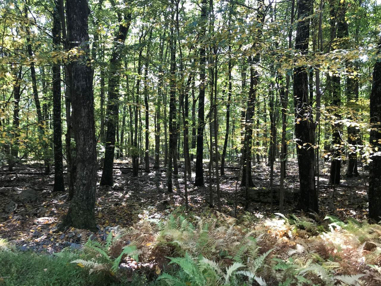 Lot 16 Juniper Way - Photo 1
