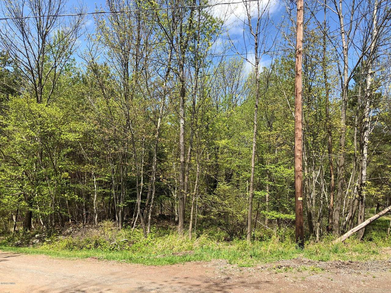 23 & 24 Laurel Dr - Photo 1